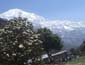 Langtang Trek